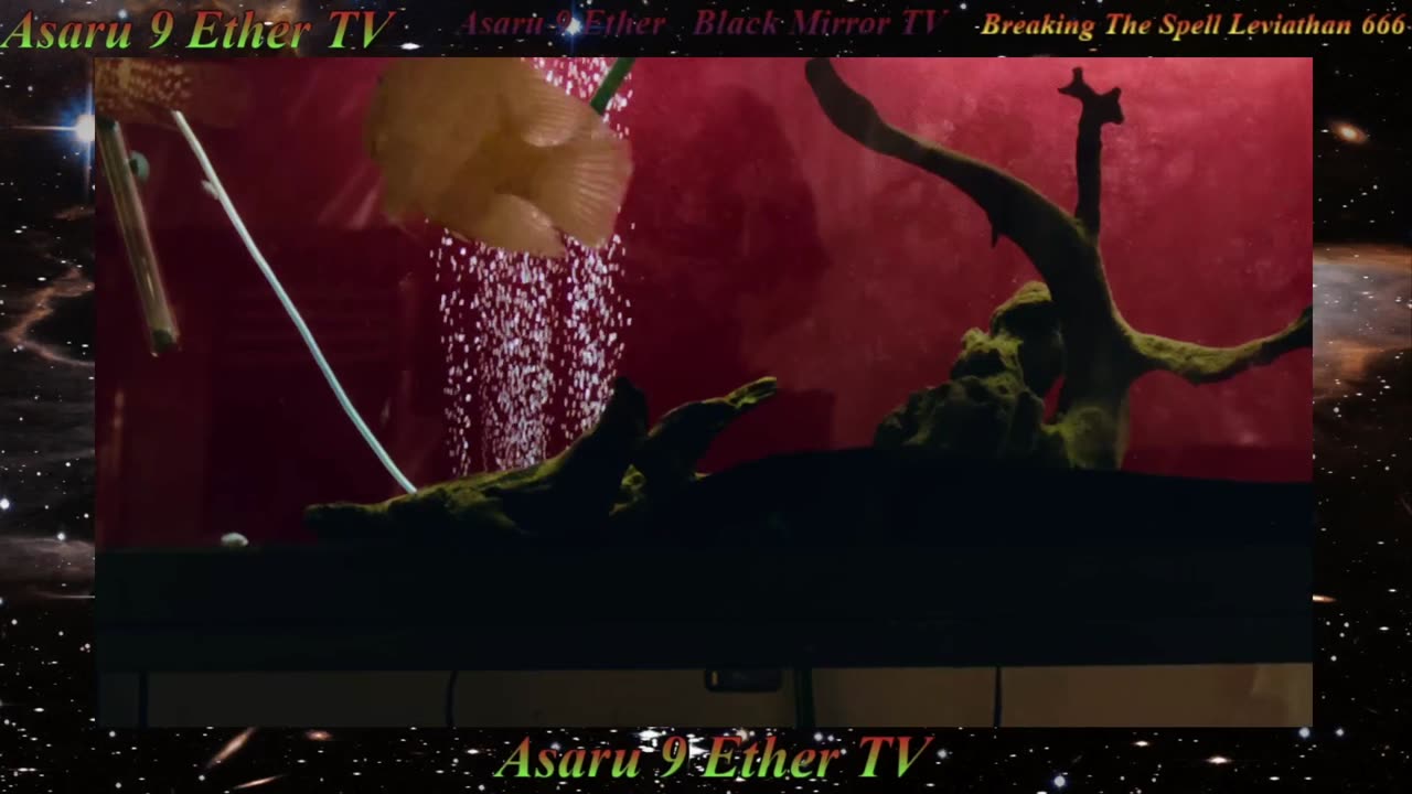 A9E 2025 NOV HOE Party Mix