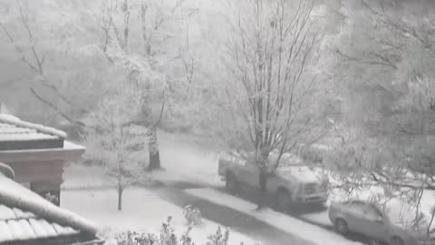 Nice band of snow here in Louisville, Kentucky after all 120 counties of Kentucky