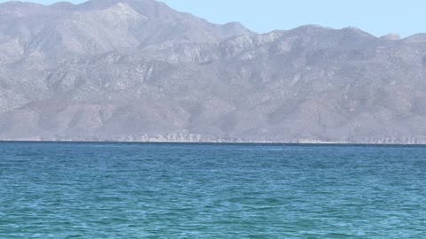 Garlic Ginger Tumeric and Sodium Bicarbonate for Health