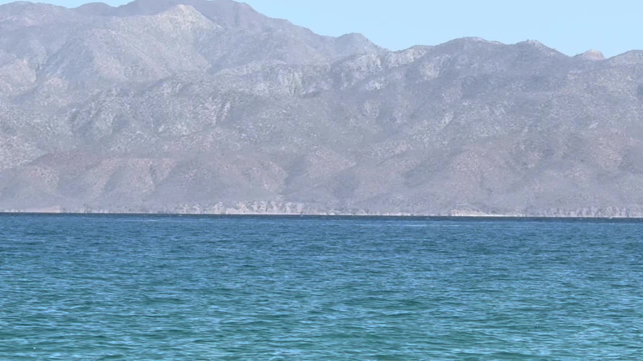 Garlic Ginger Tumeric and Sodium Bicarbonate for Health