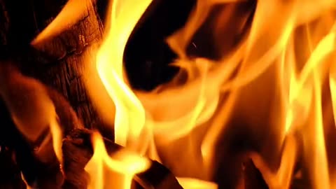 Daily Horoscope | Aries 🌟