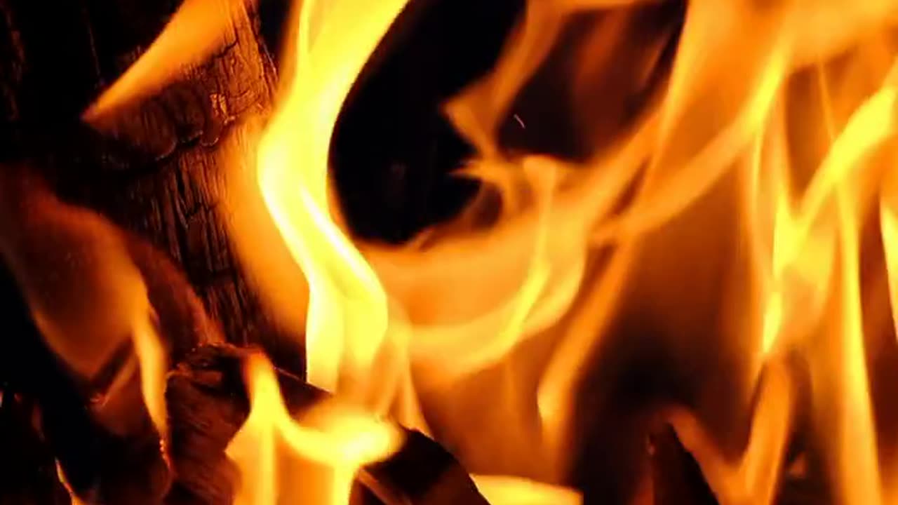 Daily Horoscope | Aries 🌟