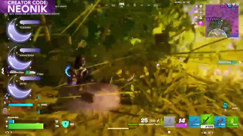 Fortnite Fun and Chaos