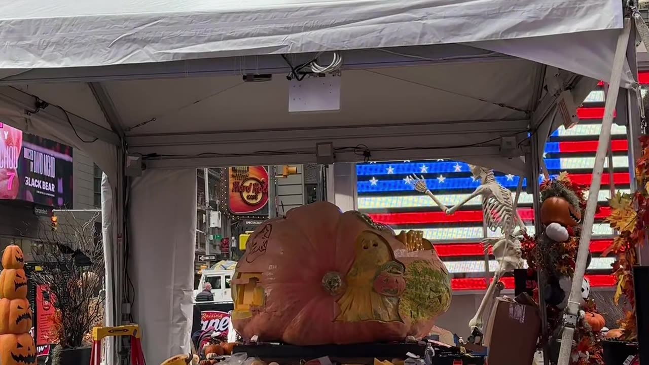 LARGEST PUMPKIN 🎃