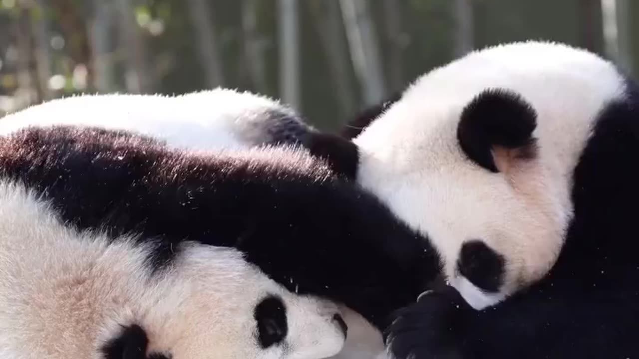 Lovely twin sisters 😍