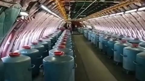 ILS VOUS VAPORISENT COMME DES INSECTES 🪽