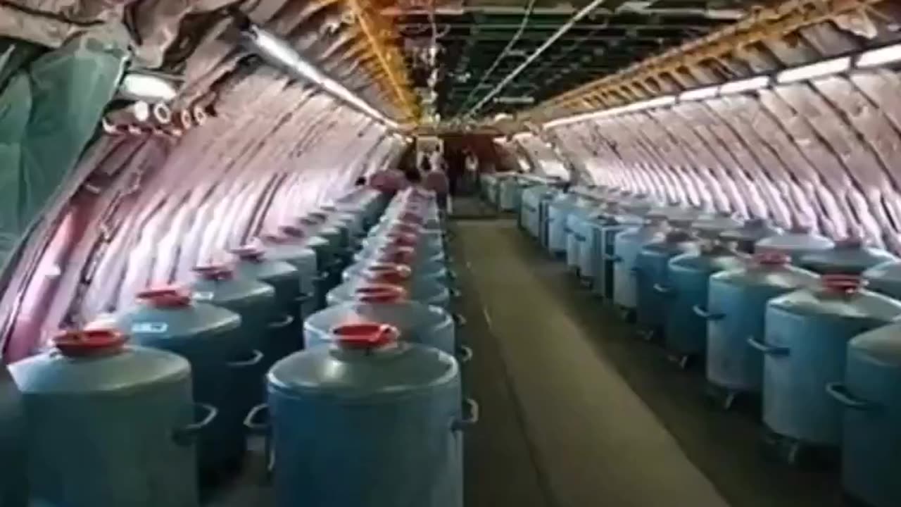 ILS VOUS VAPORISENT COMME DES INSECTES 🪽