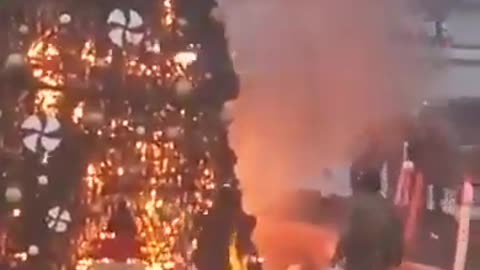 Christmas tree set on fire by migrants