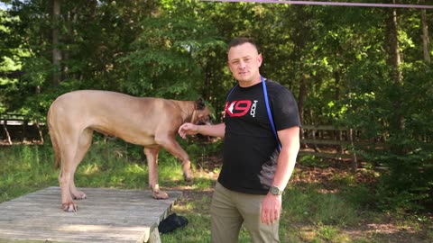 How to STOP a DOG ATTACK in 3 Seconds - GUARANTEED!