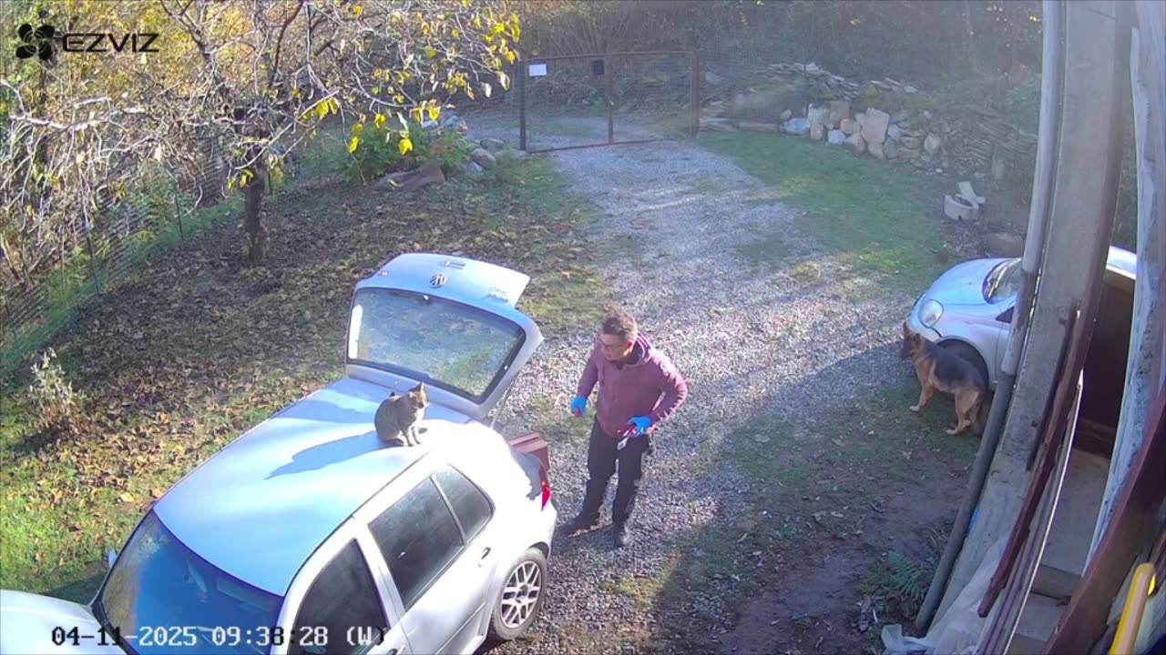 Would have blamed the dog if it could 🤣