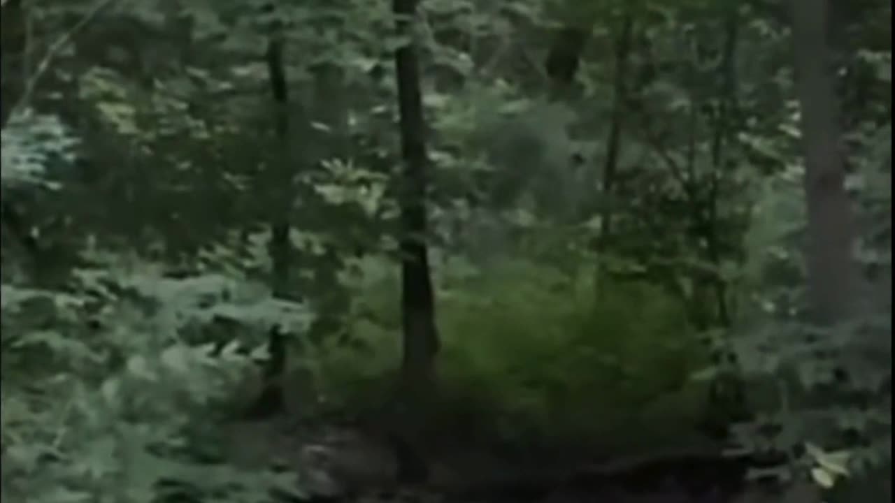Hiker Encounters a CLOAKED Cryptid in Washington State!