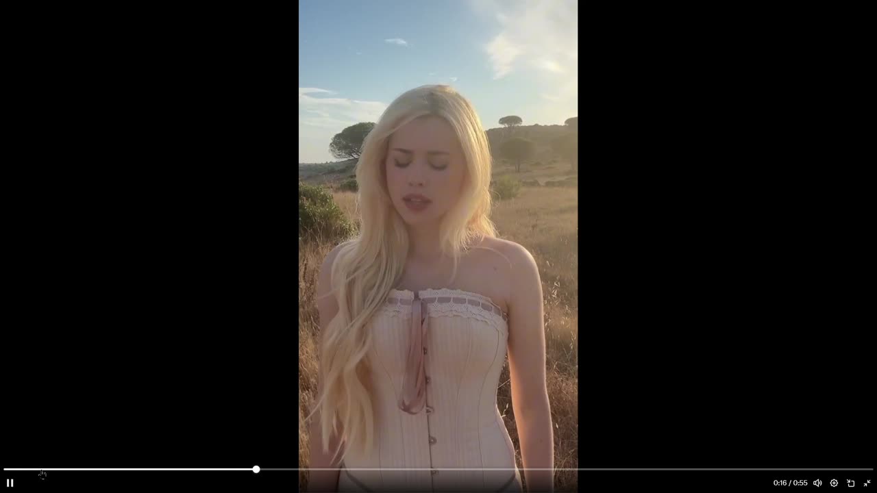 This song had me in tears from Gladiator. Didn't know the name, it's below clip