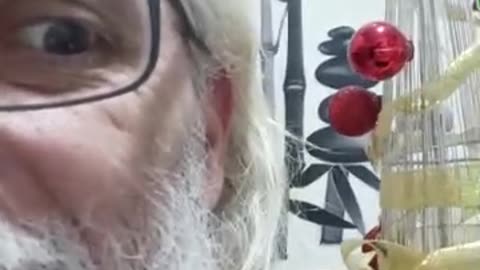 Árbol de Navidad