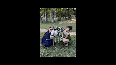 Prince & Lilah, our beer burros that are always excited to serve you and pose for your selfies.