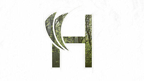 Harald Revery - Forest Shine