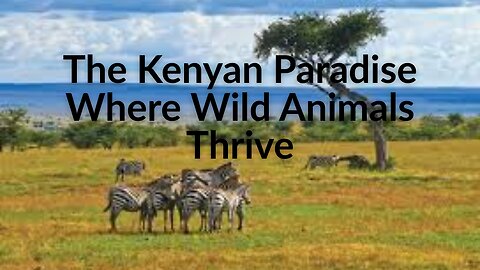The Kenyan Paradise Where Wild Animals Thrive