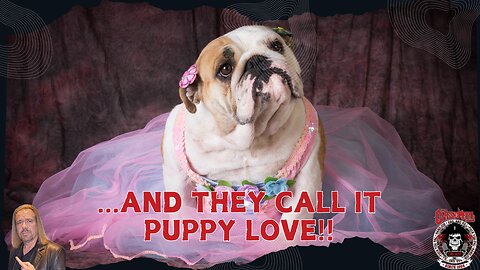 THROWBACK: SHE QUIT HER JOB TO BE A DOG AND MAKES SIX FIGURES A MONTH