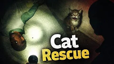 Breaking Into My Neighbour's House To Save My Cat | Cat Rescue