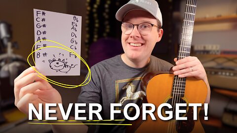 Fat Cats Get Dizzy After Eating Breakfast