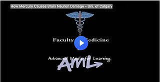 How Mercury Causes Brain Neuron Damage - Uni. of Calgary