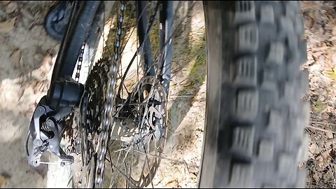 Rear axle came loose on the trail!