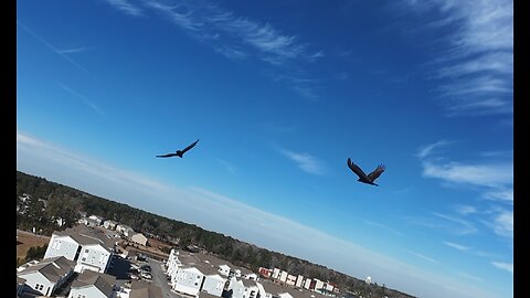 🦅 Christmas Time Is Here - Vince Guaraldi Trio 🦅