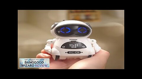 JIABAILE 939A Pocket Robot Intelligent Robot Speech Recognition Variable Tone Learning Review