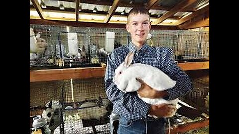 Keeping Rabbits Cool in Extreme Heat: A Farmer's Summer Struggle