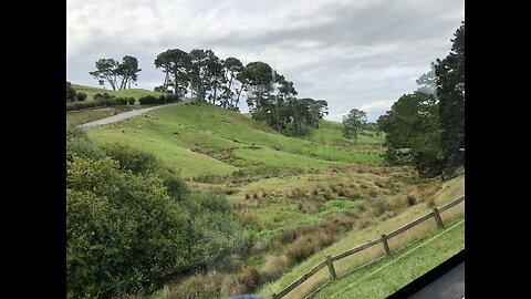 Happy Post Thanksgiving!