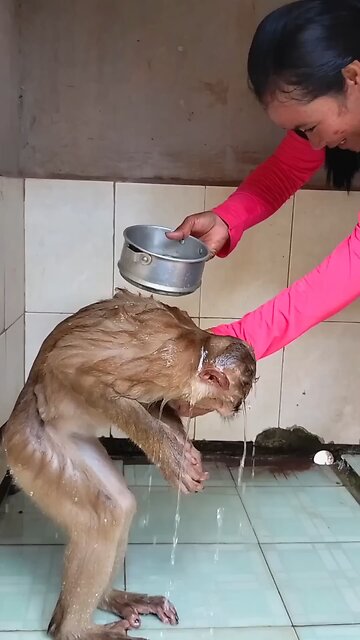 Awesome Video Best SokYaa, OG, Pao & Mom Are Famous Around The World #shorts #anime #trend #edit