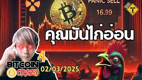 BitcoinCrazy 02/03/2025 : คุณมันไก่อ่อน