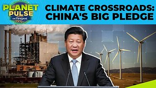 China Sets First-Ever Absolute Emissions Targets at UN Climate Summit | Planet Pulse | N18G