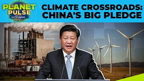 China Sets First-Ever Absolute Emissions Targets at UN Climate Summit | Planet Pulse | N18G
