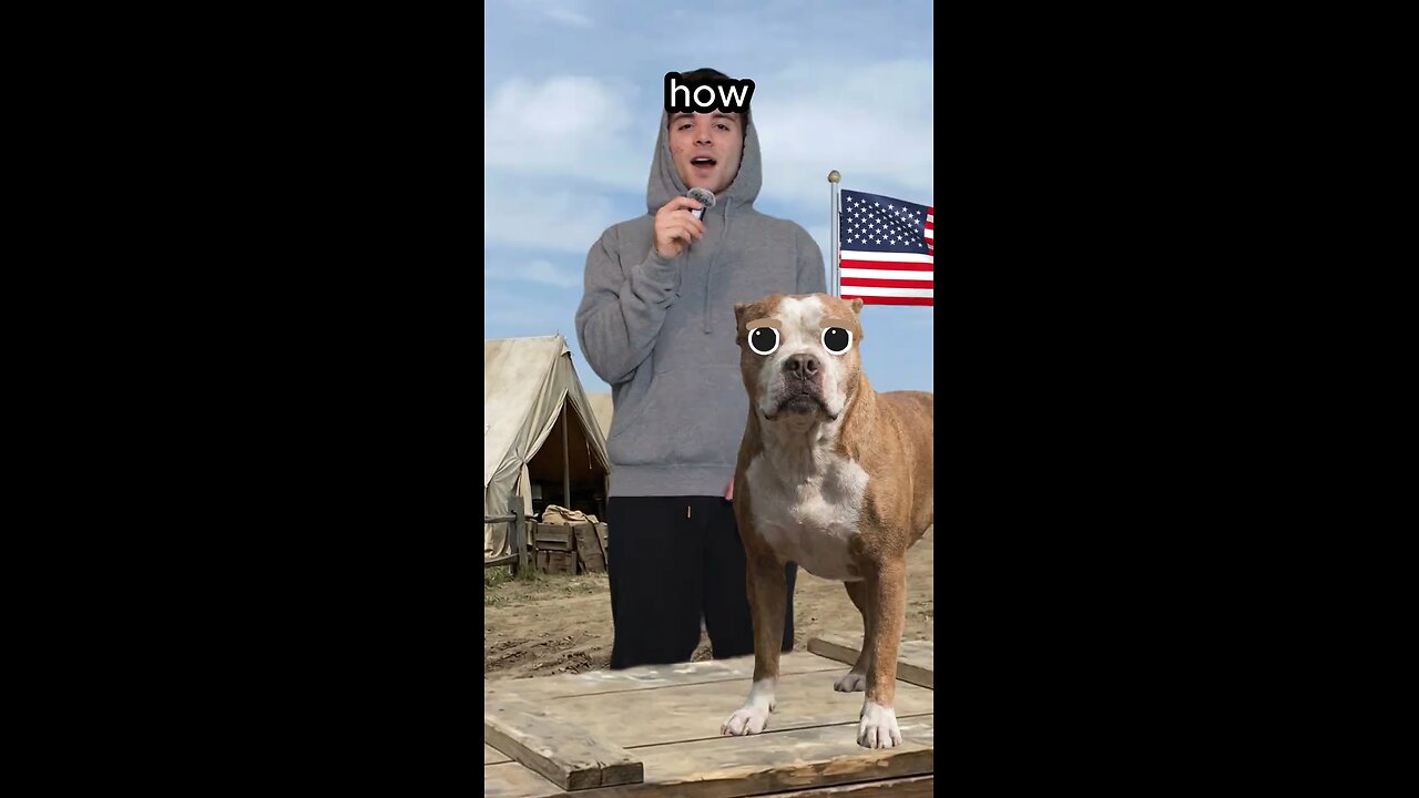 The True Story Of "Sargent Stubby."