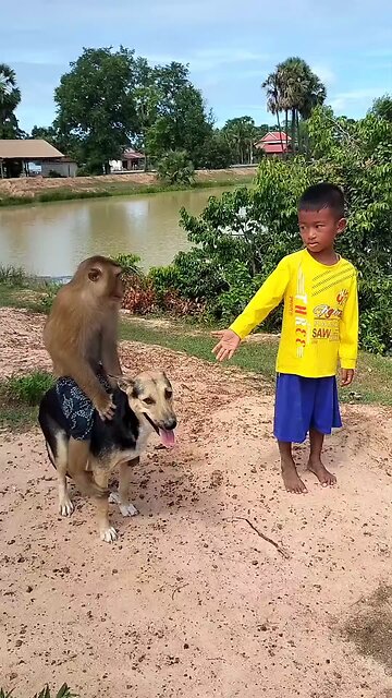 Good Job Best SokYaa, OG, Pao & Mom Are Famous Around The World #shorts #anime #trend #edit