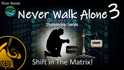 Never Walk Alone - Part 3: Shift In The Matrix!