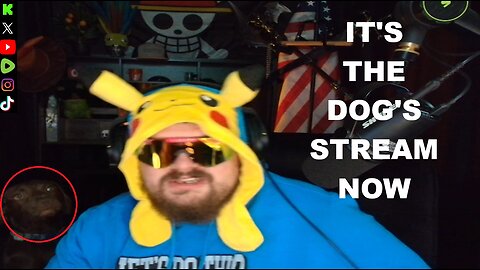 It's The Dog's Stream Now