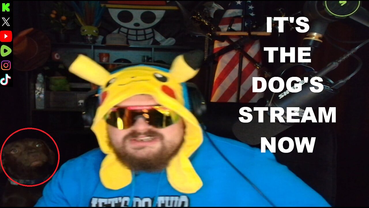 It's The Dog's Stream Now