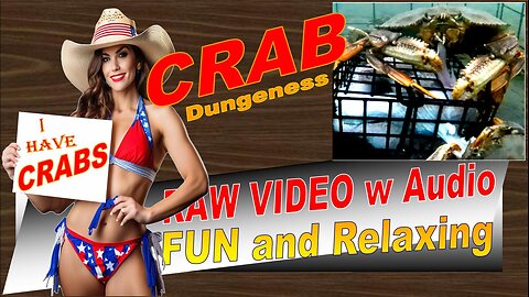 LovingKindWarm Crab Video Underwater Crab Pot Fish Boat ASMR 2024 10 25 HiCam Launch a thru d PV