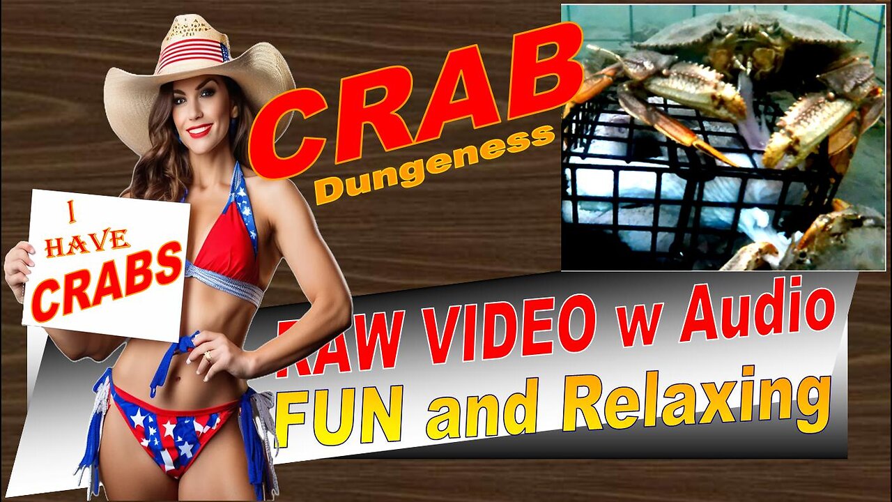 LovingKindWarm Crab Video Underwater Crab Pot Fish Boat ASMR 2024 10 25 HiCam Launch a thru d PV