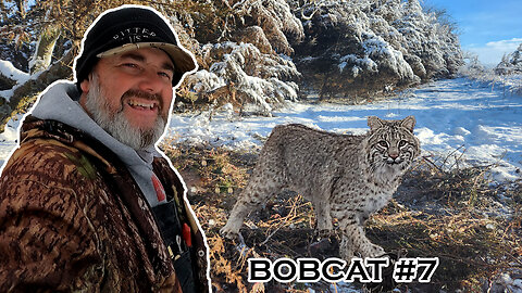 My GREATEST WINTER TRAPPING SECRETS in this video! Bobcat #7 Coyotes 56-59 | S5 Ep 16