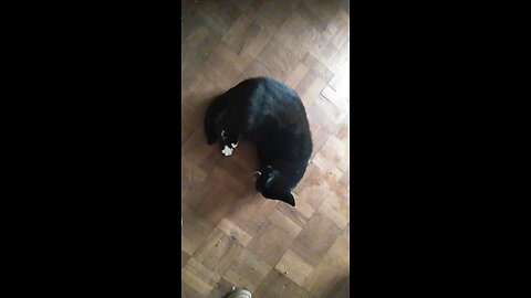 Milkshake Goes Nuts