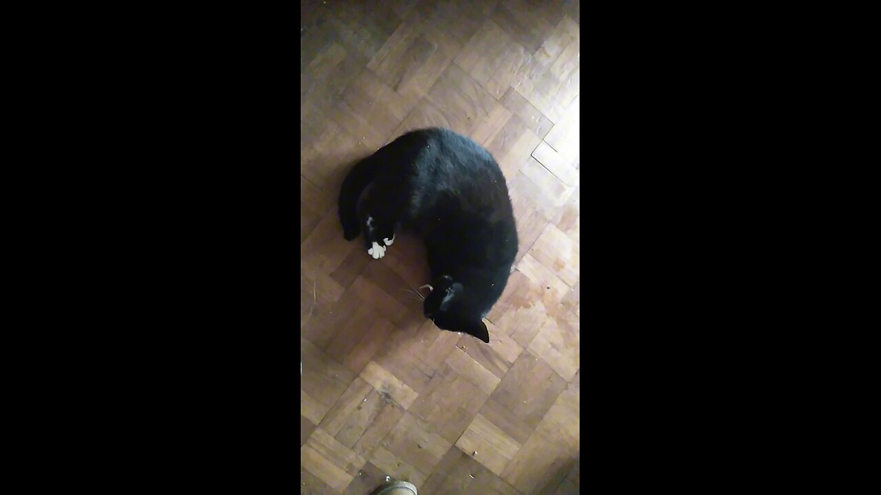 Milkshake Goes Nuts