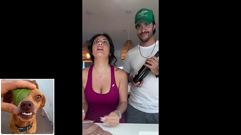 Funny videos compilation 67