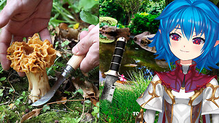 I did a Foraging Tools Showcase