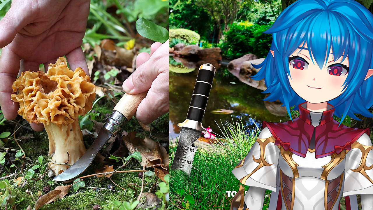 I did a Foraging Tools Showcase