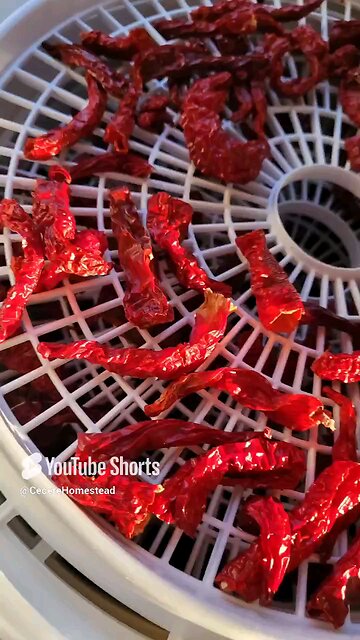 Garden 1025. You Ready?