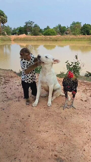 Best SokYaa, OG, Pao & Mom Are Videomous Around The World #shorts #anime #trend #edit