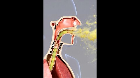 Coughing #3dmedico #HumanAnatomy
