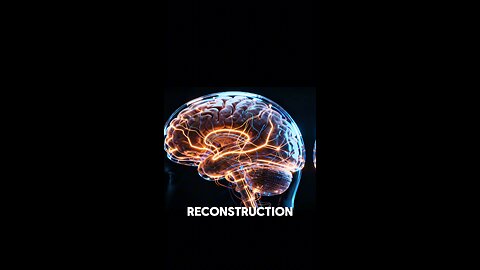 Human memory is not static